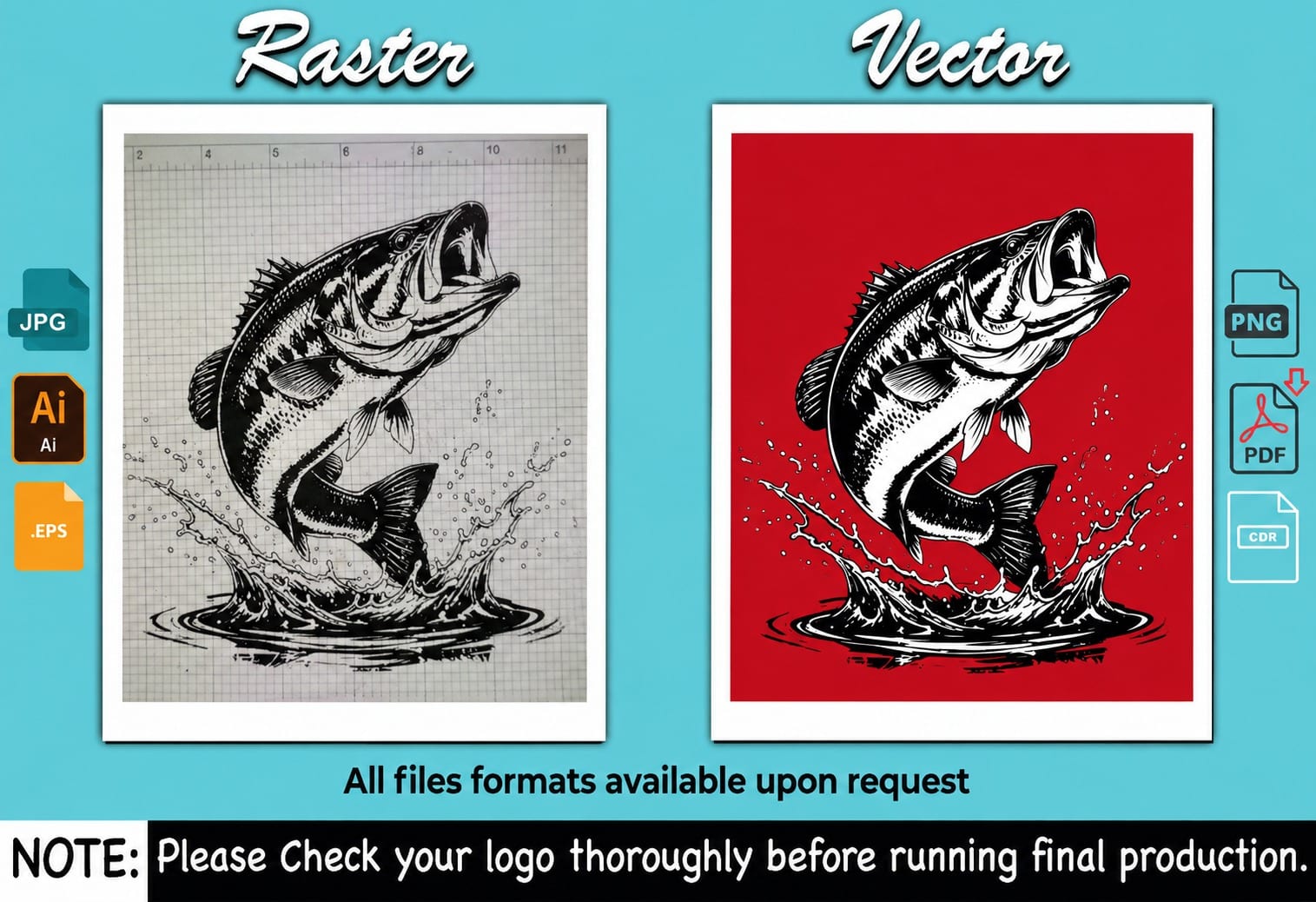 Bass fish line drawing shown as a pencil sketch on graph paper beside the redrawn vector version