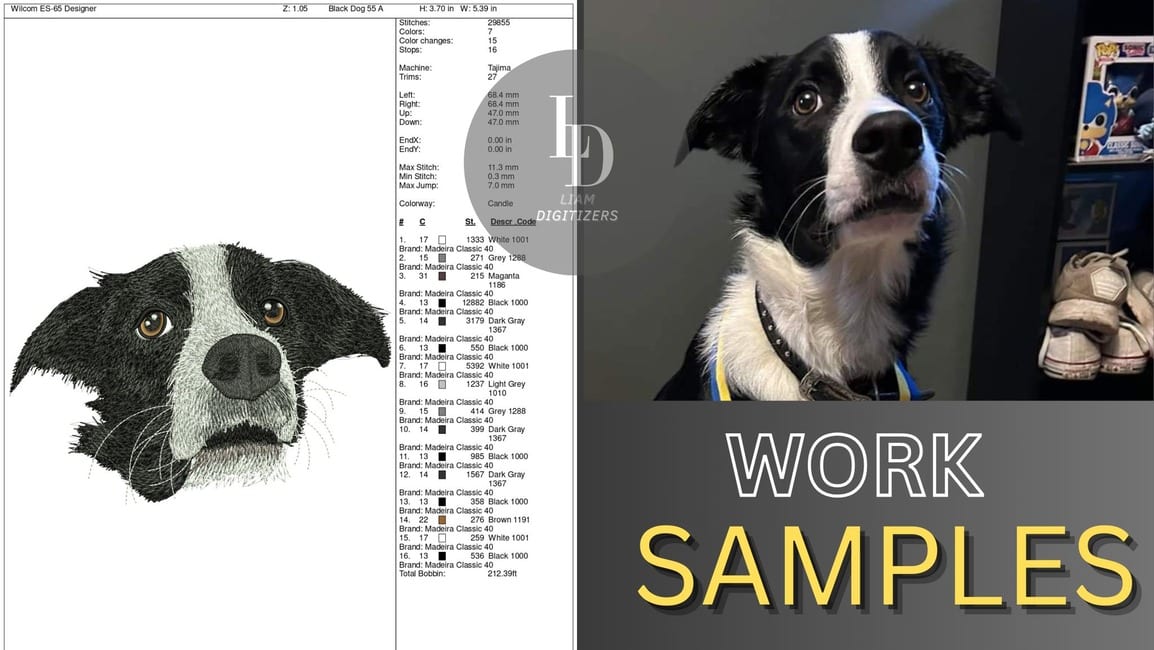 Digitized embroidery of a border collie beside the original photograph of the dog