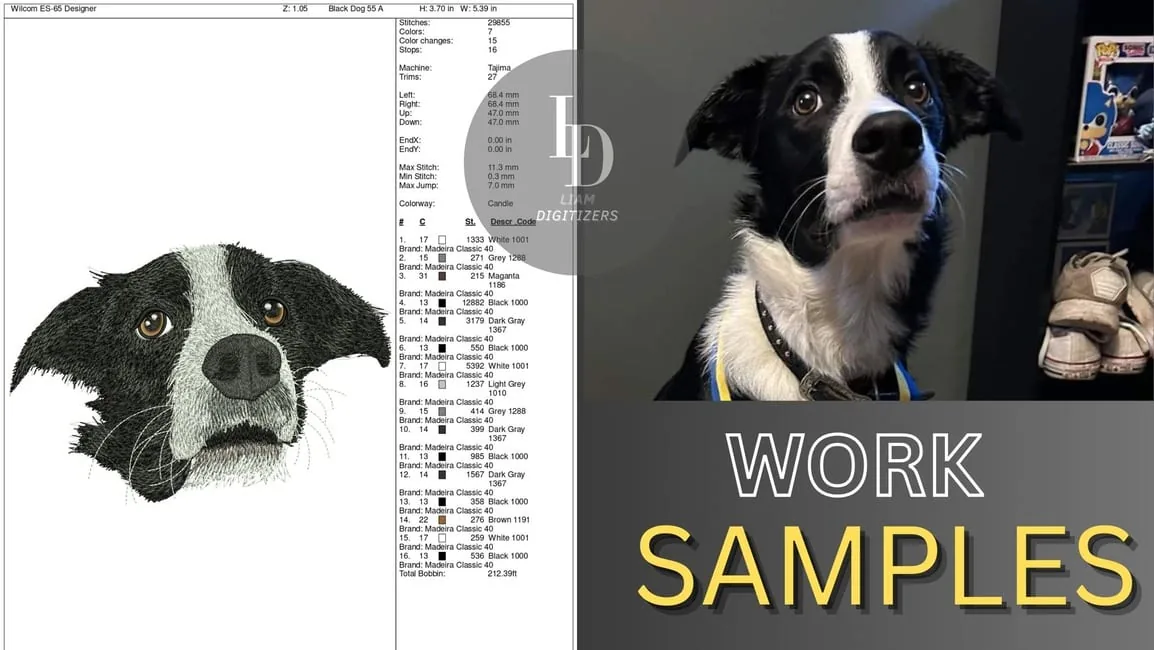 Digitized embroidery of a border collie beside the original photograph of the dog