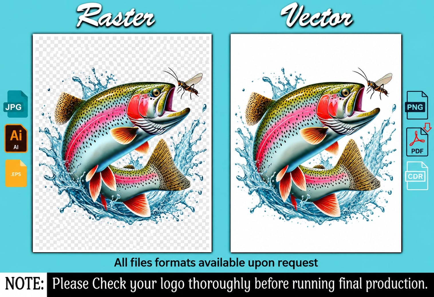 Rainbow trout illustration shown as the original raster image beside the redrawn vector version